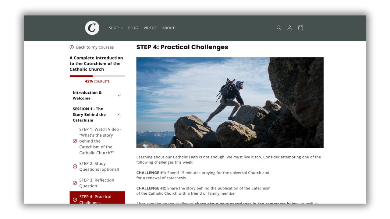 A Complete Introduction to the Catechism of the Catholic Church (Video Course)