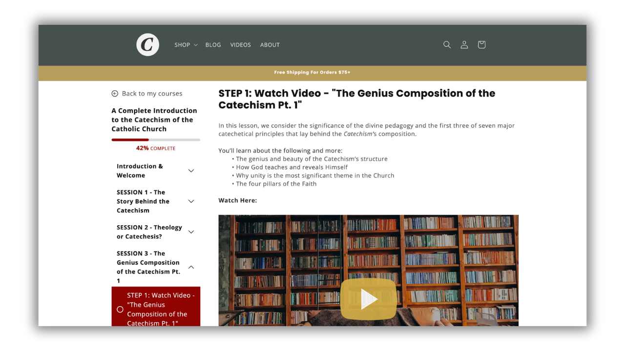 A Complete Introduction to the Catechism of the Catholic Church (Video Course)